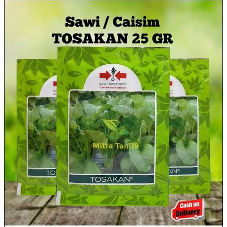 Jual BENIH BIBIT TANAMAN PERTANIAN SAYUR SAYURAN HIDROPONIK SAWI CAISIM