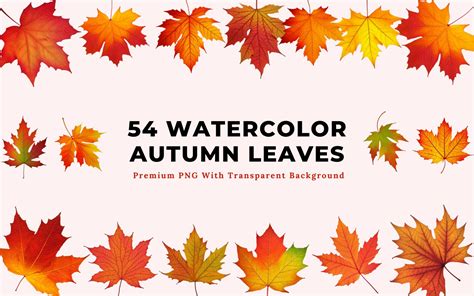 54 Watercolor Autumn Leaves Clipart | Graphics ~ Creative Market