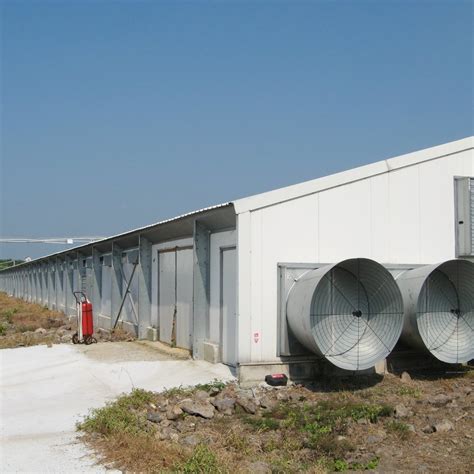 Prefabricated Prefab Steel Structure Poultry Farming House From China