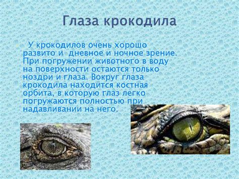 Крокодилы: свирепые и коварные - презентация онлайн