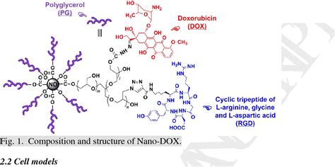 Figure 1 From Dendritic Cell Mediated Delivery Of Doxorubicin