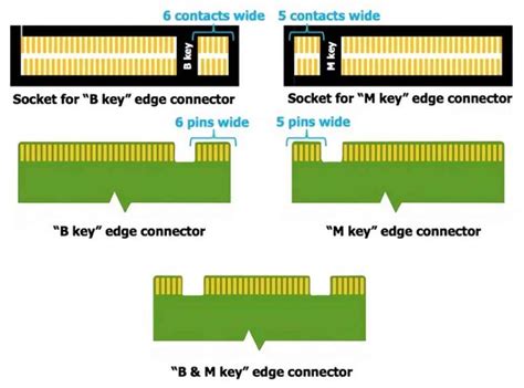 Si Tu Placa Base Tiene Varios M En Cu L Debes Conectar El Ssd