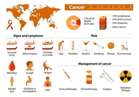 Cervical Cancer Carcinoma Of Cervix Stock Vector Illustration Of