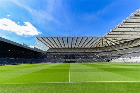 ‘Sharon says I love this pitch more than her’ — a matchday in the life