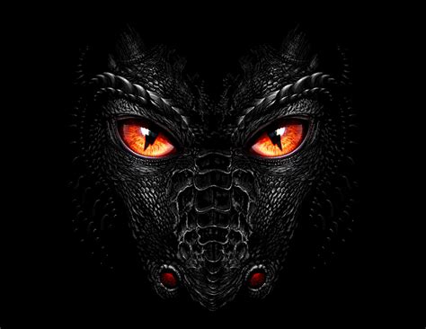 Dragon Energy Drink :: Behance