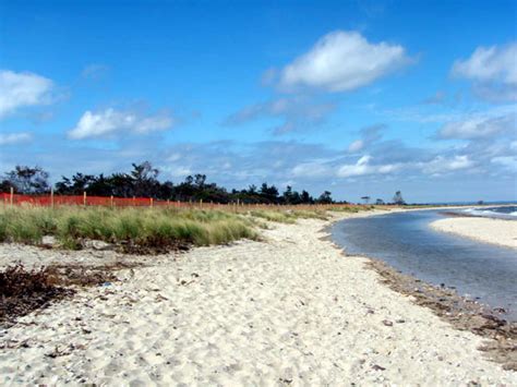 Berm and Sand Trail Restoration | The Caumsett Foundation