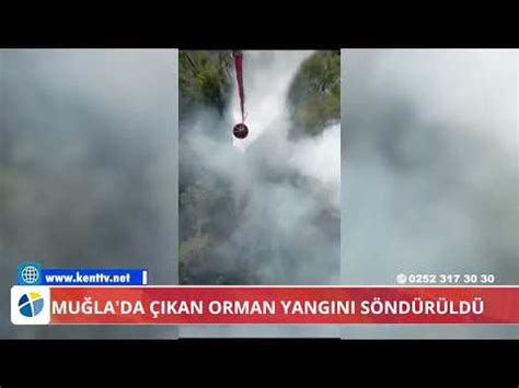 MUĞLA DA ÇIKAN ORMAN YANGINI SÖNDÜRÜLDÜ YouTube