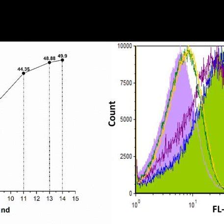 Representation of aptamers' binding affinity. (A) Binding affinity of ... 