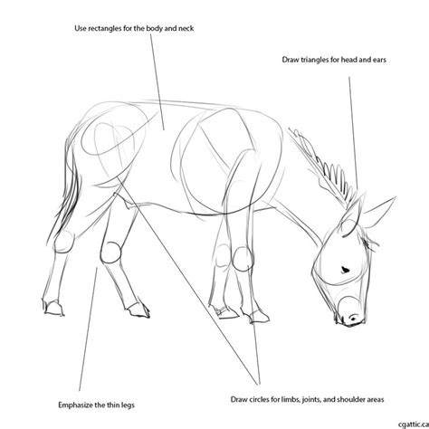 Realistic Donkey Drawing in 4 Steps With Photoshop | Disegnare animali ...