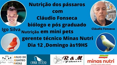 Nutri O Dos P Ssaros Cl Udio Fonseca Aovivo Live Youtube