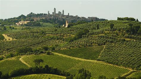 Exploring The 4 Most Important Tuscany Wine Regions Somm Tv Magazine