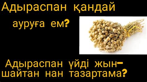 АДЫРАСПАН ҚАНДАЙ АУРУҒА ЕМ? АДЫРАСПАН ҮЙДІ ЖЫН-ШАЙТАННАН ТАЗАРТАМА ...