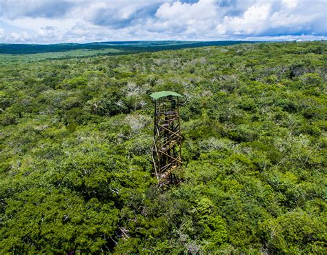 Associa O Caatinga Desenvolve Projeto De Conserva O Funda O