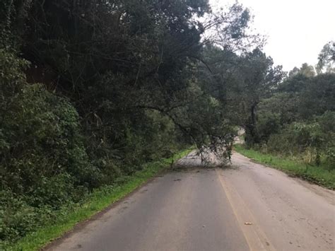 Nós vamos reerguer Santa Tereza a ajuda de muitas mãos e