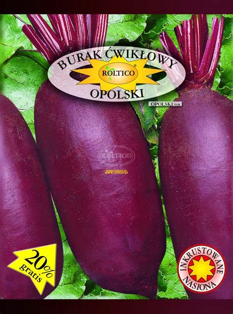 Burak ćwikłowy podłużny OPOLSKI nasiona 20 g ROLTICO duże opakowanie