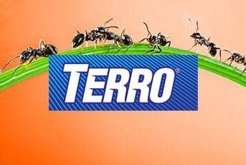 how long does terro take to work