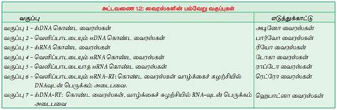 வரஸகளன வகபபட உயர உலகம Classification of Viruses in Tamil