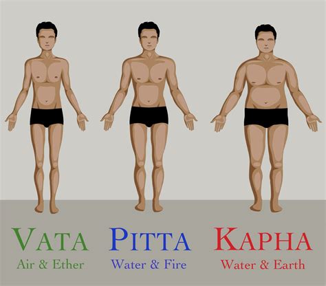 Ayurveda Body Types Ayurveda Dosha Ayurveda Ayurveda Pitta