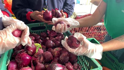 Connecting Food Distribui Mais De Mil Toneladas De Alimentos Na