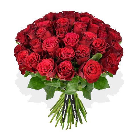 Red Red Rose - Roses Delivered - Flowers & Plants Co.