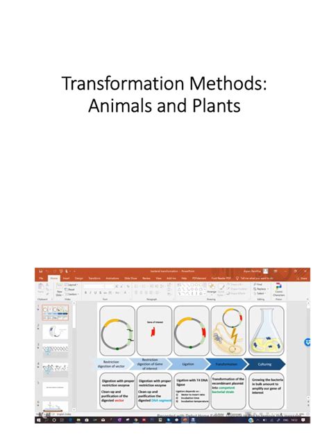 Transformation Methods Pdf Transformation Genetics Cell Biology