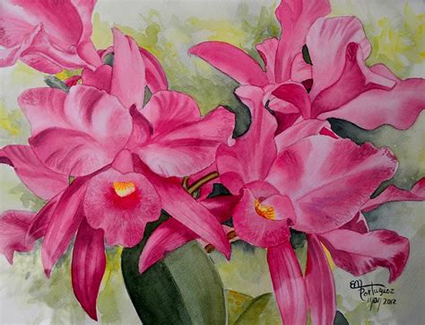 Orchid Guaria Morada Painting