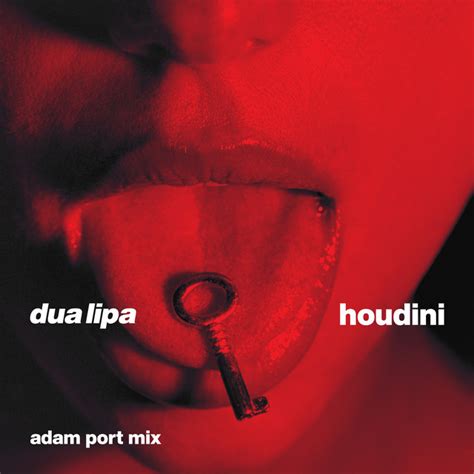 Houdini Adam Port Mix Single By Dua Lipa Spotify