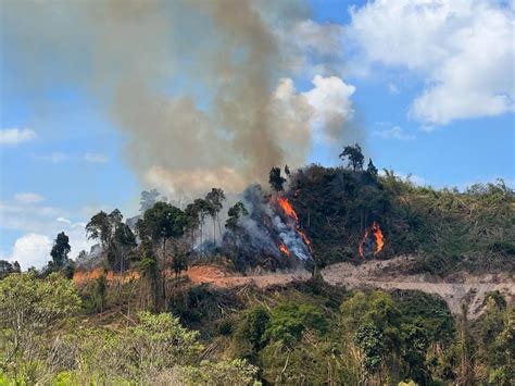 Gua Musang Rekodkan 41 Kes Kebakaran Terbuka