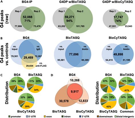 Side-by-side comparison of G-quadruplex (G4) capture efficiency of the ...