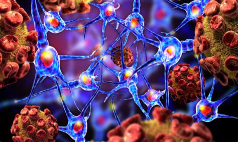 human endogenous retrovirus expression  targets  multiple sclerosis