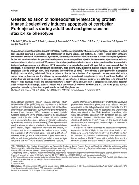 Pdf Genetic Ablation Of Homeodomain Interacting Protein Kinase 2