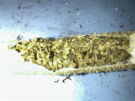 Muha Meds Mates Infused Pre-Rolls Gut : r/Michigents