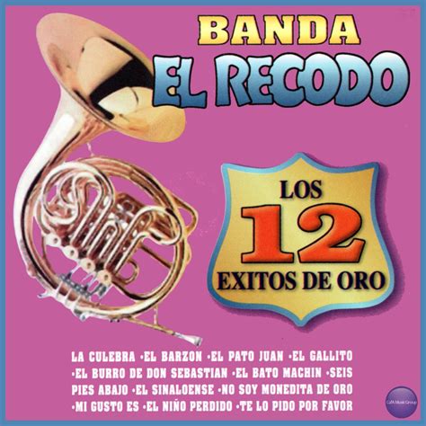 Los 12 Éxitos de Oro de Banda El Recodo en Apple Music