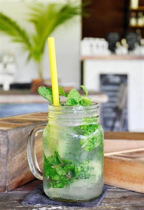 a revolutionary recipe for the perfect mojito | Champagne and Coconuts