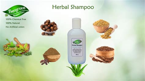 Herbal Shampoo Evergreen Natural Care