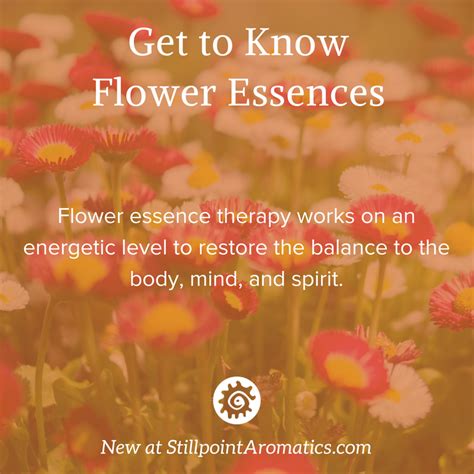 Flower Essence Therapy For Holistic Balance