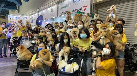 Pet Expo Malaysia Rhone Ma Holdings Berhad