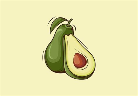 Premium Vector Avocado Fruit Vector Illustration