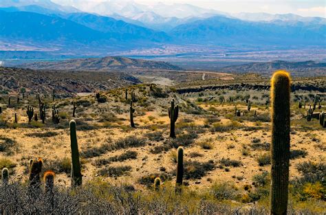 Fotos gratis paisaje árbol naturaleza rock desierto montaña