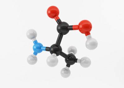 3d model amino acids