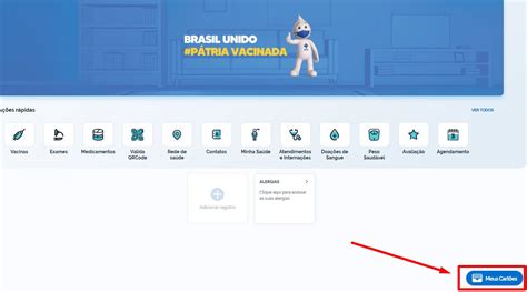 Cart O Sus Como Fazer Consultar E Imprimir Sua Via Vergilio