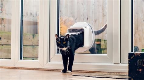 Cat Flap In Glass Doors And Dog Doors For Glass Doors Installed In The Uk