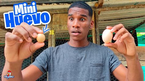 Mi Gallina Puso Un Huevo Muy Pequeño🥚 Puso Un Mini Huevo Youtube