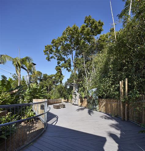 Perth Zoo Orang Utan Exhibit By Iredale Pedersen Hook 谷德设计网