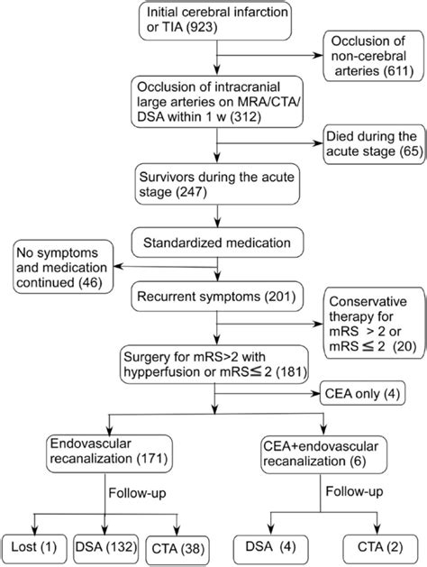 Effects Of Endovascular Recanalization On Symptomatic Non Acute Occlusion Of Intracranial