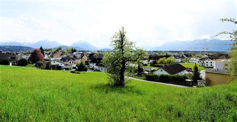 Baugrund In Hanglage Mit Super Aussicht Amann Immobilien Gmbh