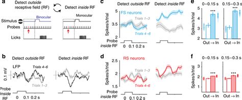 Spatially selective enhancement of LFP, excitatory and inhibitory ... 