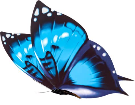 🥇 Image Of Butterfly Png Animal Butterfly Overlay Nature Insect 【free