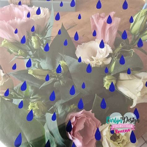 Hot Foil A Regendruppels CDHF Craftlines B V