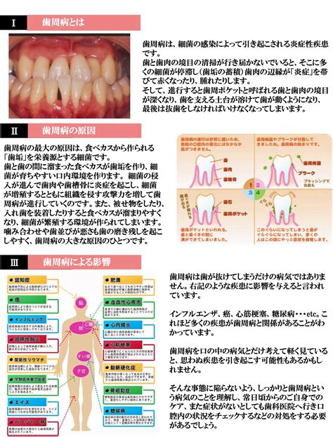 歯周ポケットとは？ 仁科歯科医院